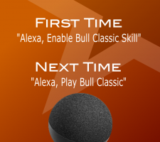 bull-classic-alexa-instructions